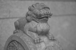 人工石代表什么生肖，人工石是什么字-fengyakai artificial marble